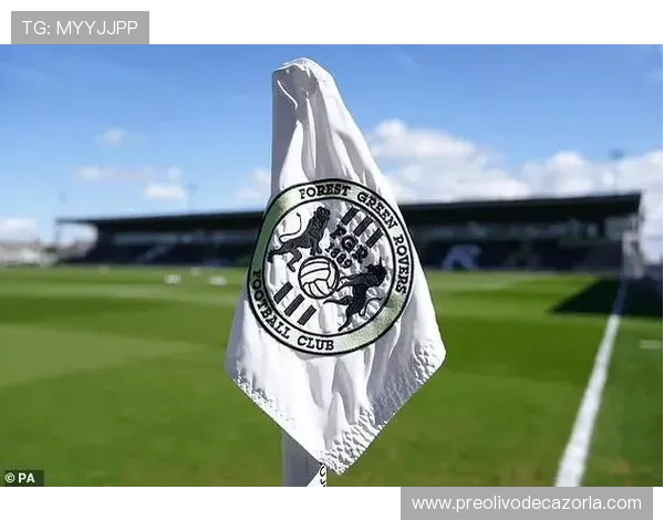 足球体育app下载地址官方入口导航，快速找到最新版本下载地址与使用帮助指南
